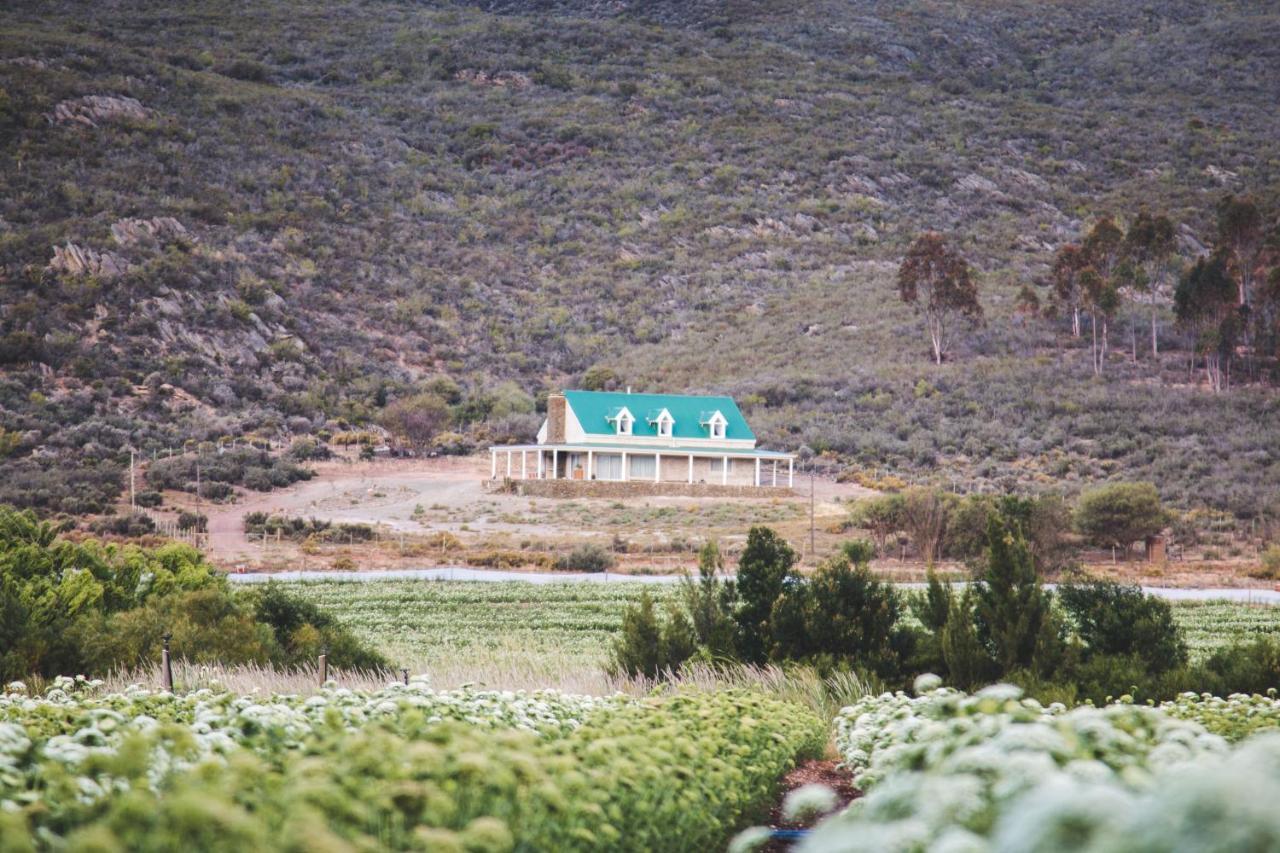 Blue Cow Barn - Boutique Farm Guest House Barrydale Luaran gambar