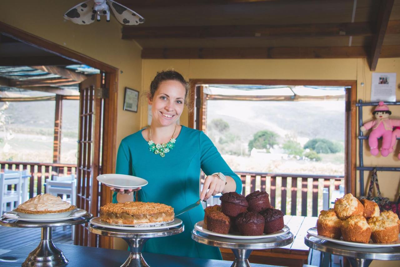 Blue Cow Barn - Boutique Farm Guest House Barrydale Luaran gambar