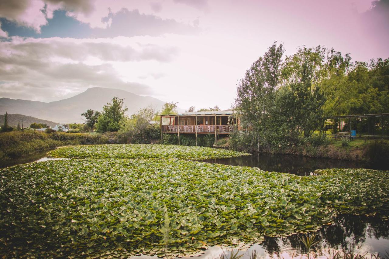 Blue Cow Barn - Boutique Farm Guest House Barrydale Luaran gambar
