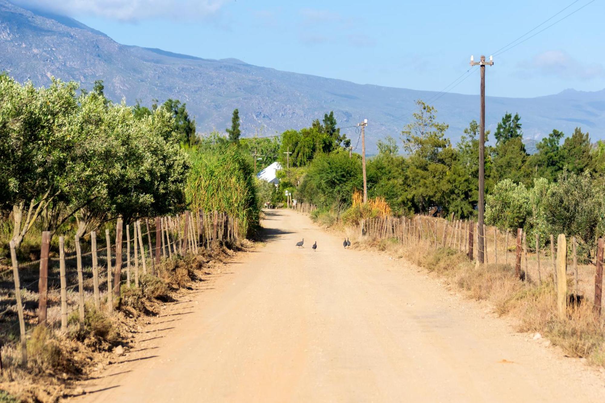 Blue Cow Barn - Boutique Farm Guest House Barrydale Luaran gambar