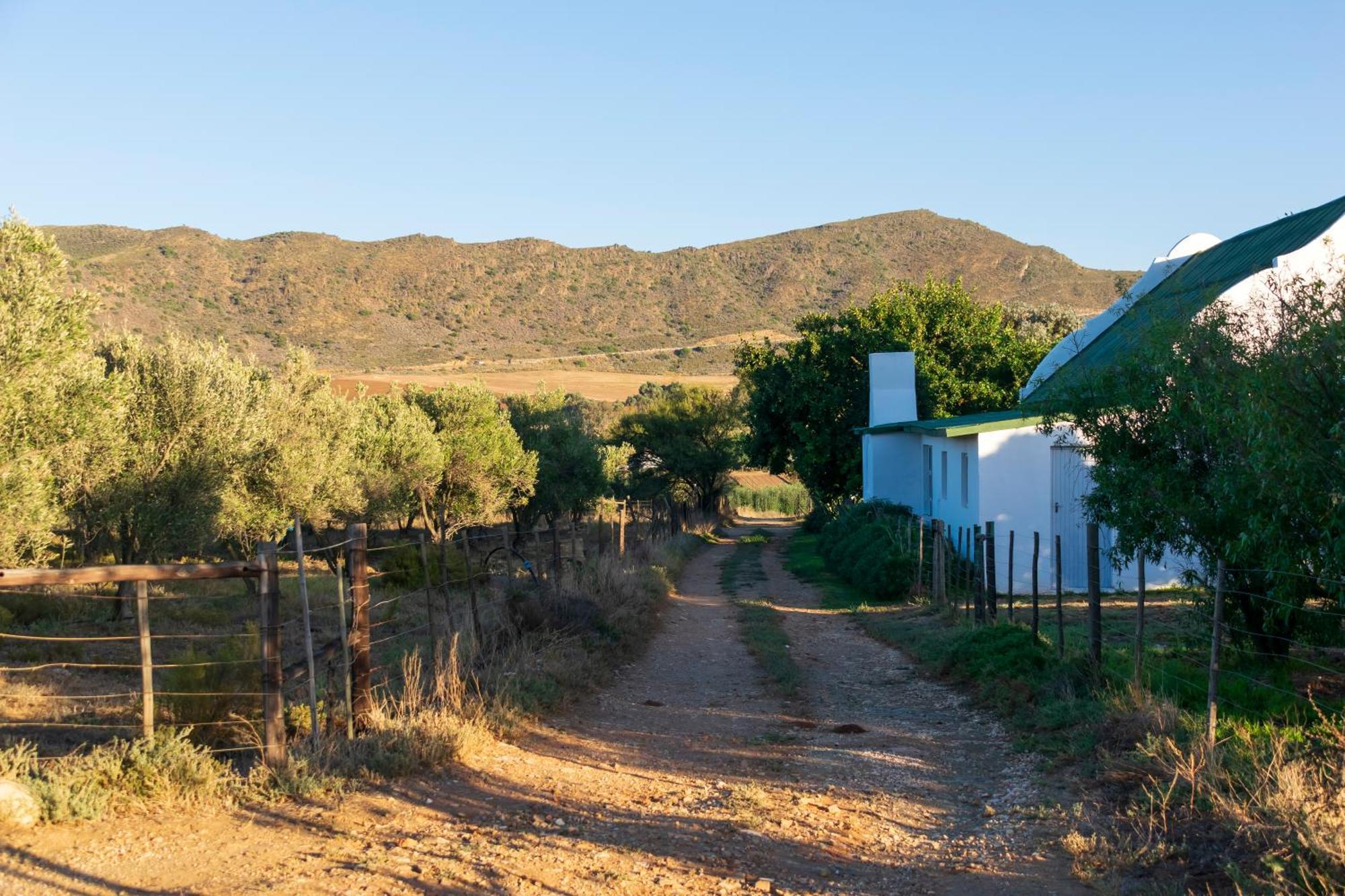 Blue Cow Barn - Boutique Farm Guest House Barrydale Luaran gambar
